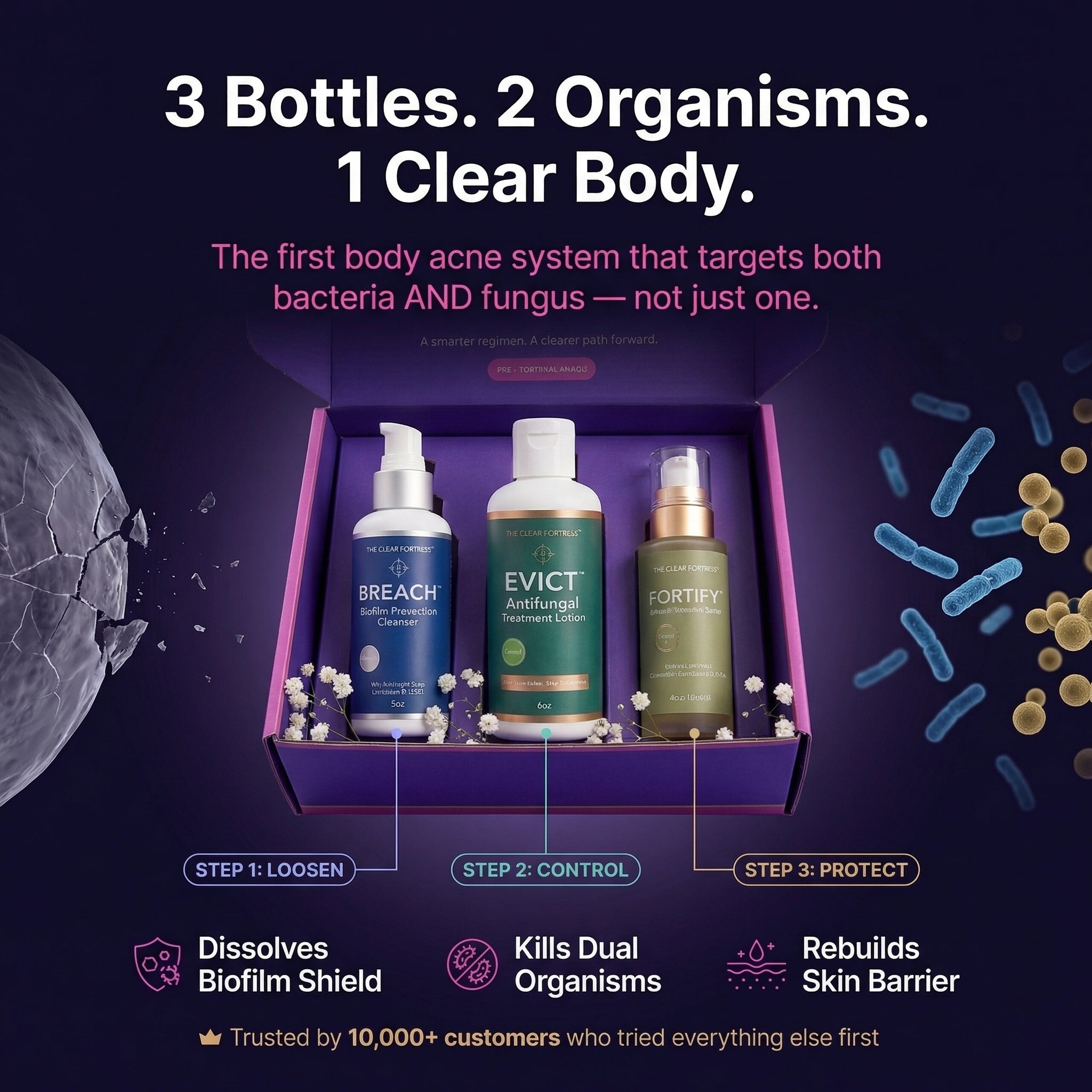 A single green leaf against a white background.